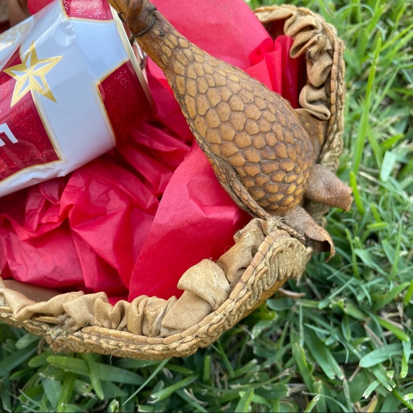 AUTHENTIC Amazingly Creepy Texas Armadillo Basket